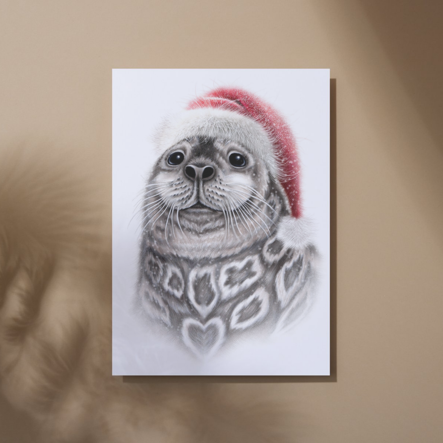 Ringed seal / Saimaa ringed seal -Art print (Christmas)