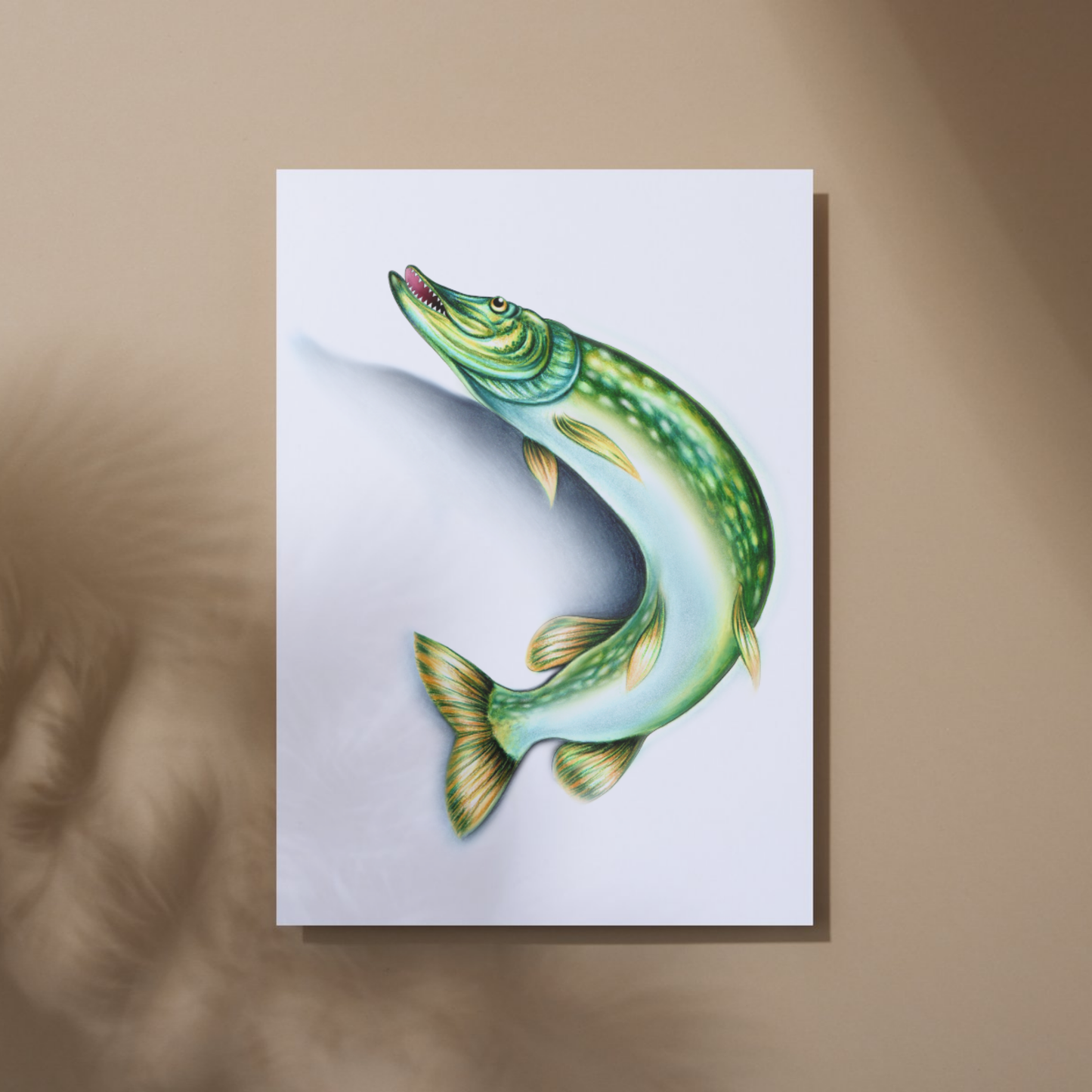 Pike -Art Print (Fish)
