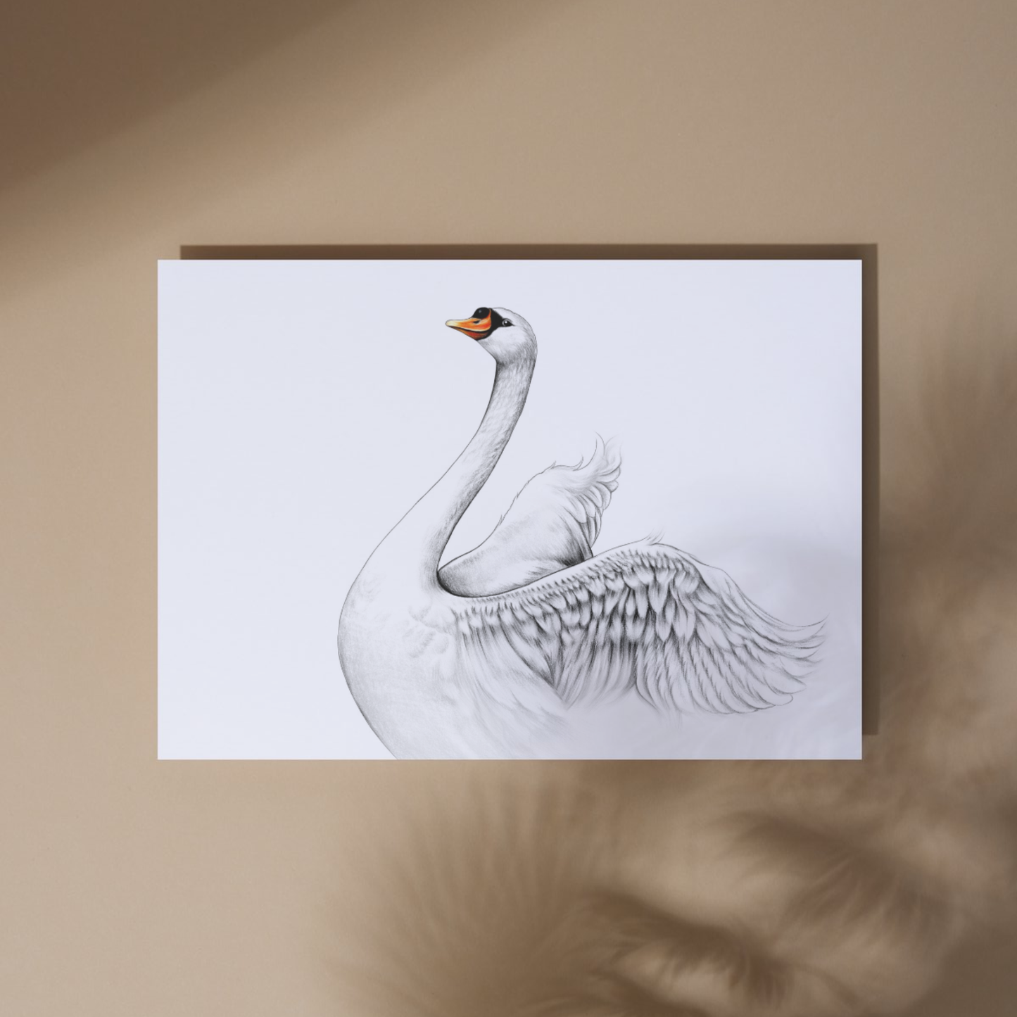 Swan -Art print