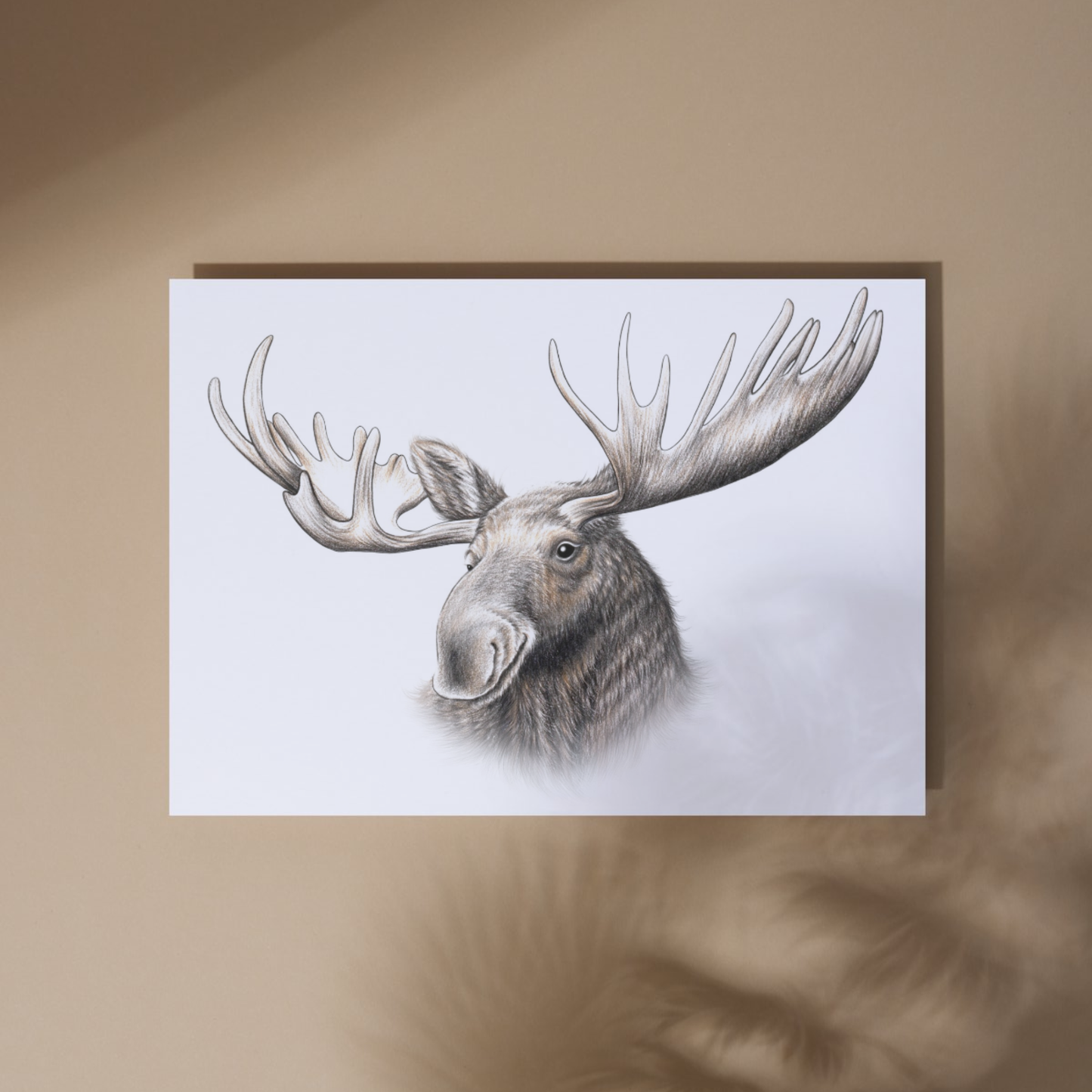 Moose -Art print