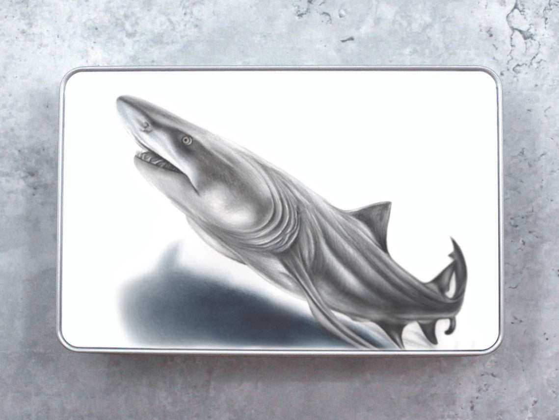 Shark Tin Box