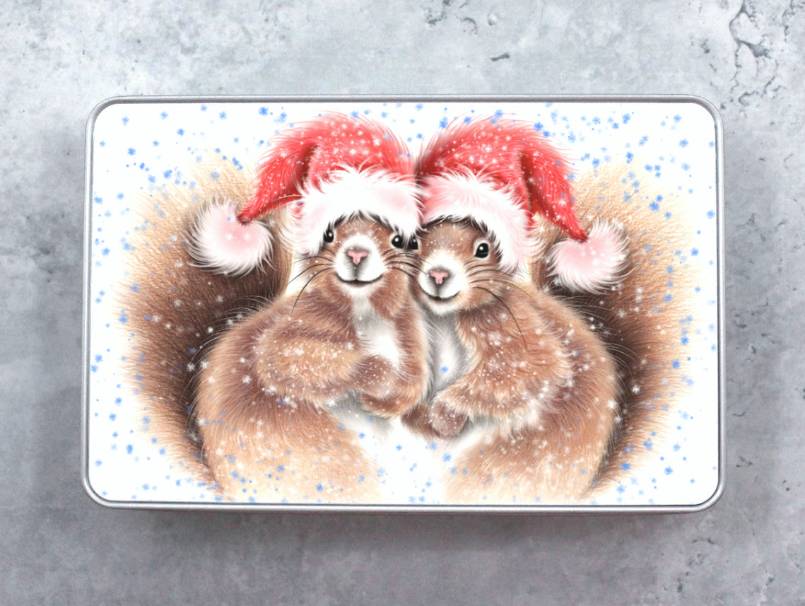 Oravapari Joulu -Peltirasia (Orava)