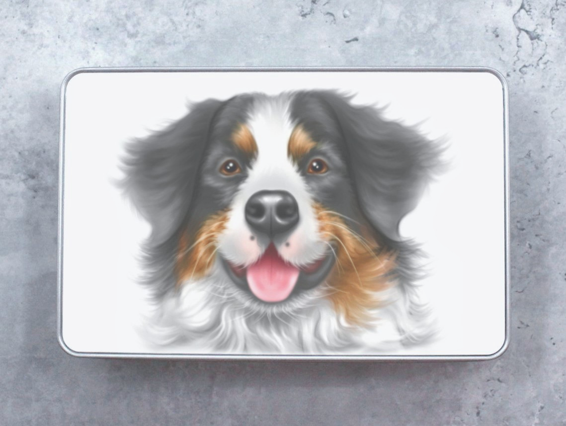 Berner sennenhund - plåtlåda (hundraser)