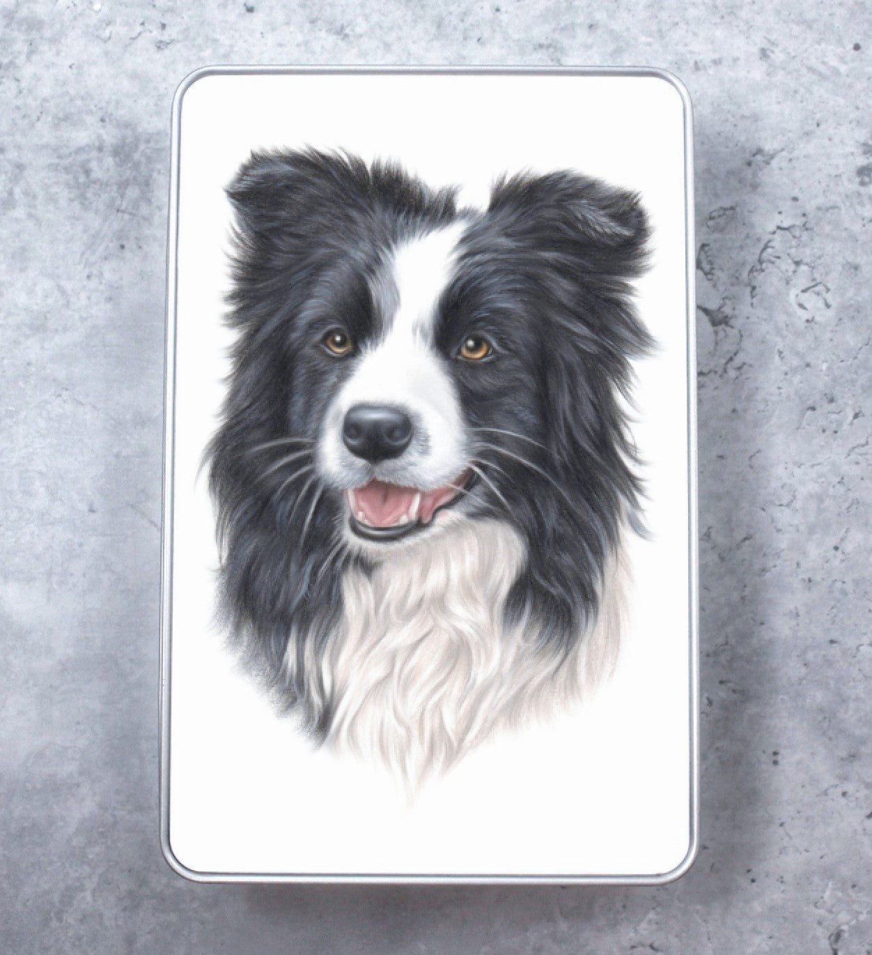 Bordercollie -Peltirasia (Koirarodut)