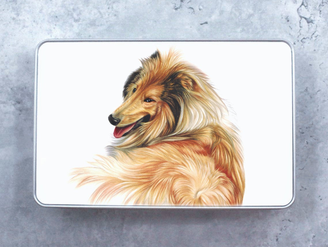 Collie -Peltirasia (Koirarodut)