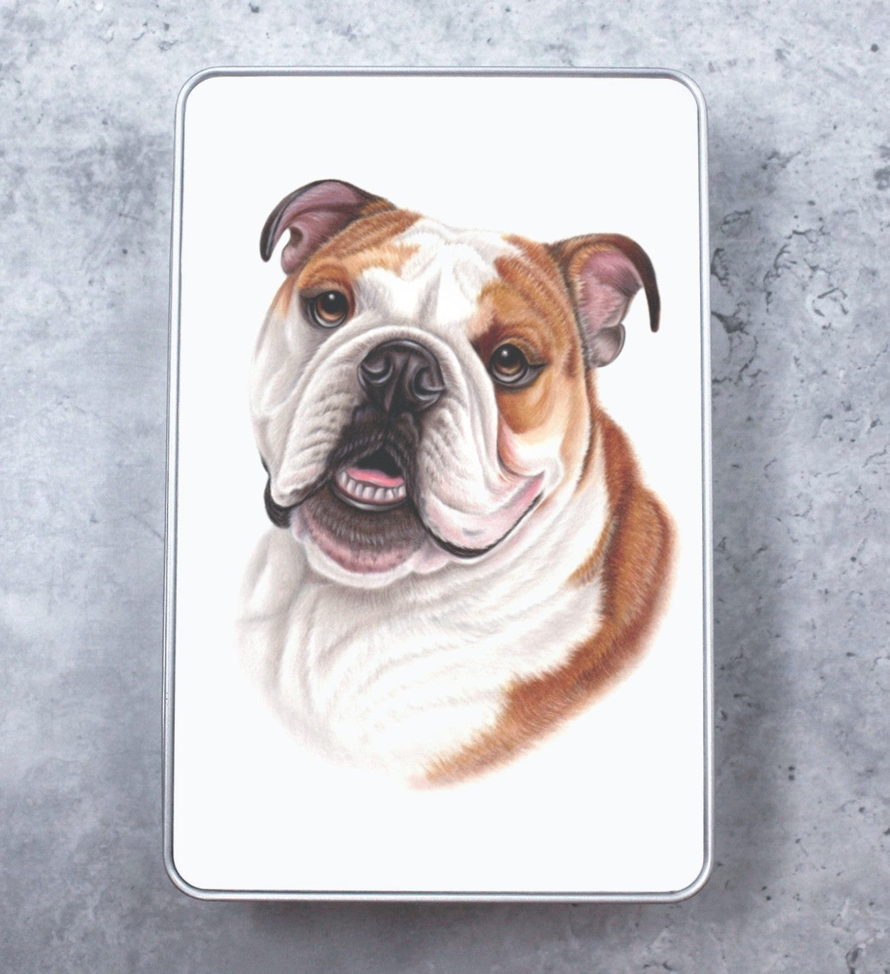 Englannin Bulldog -Peltirasia (Koirarodut)