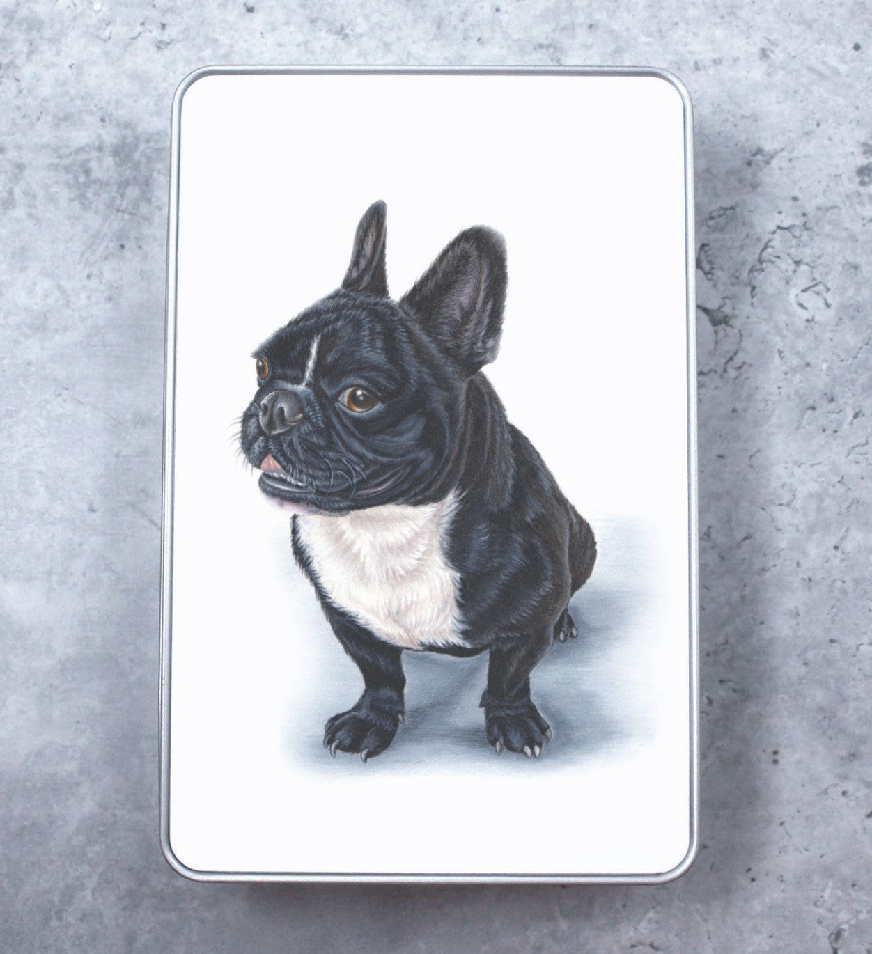 Ranskan Bulldog / Frenchie -Peltirasia (Koirarodut)