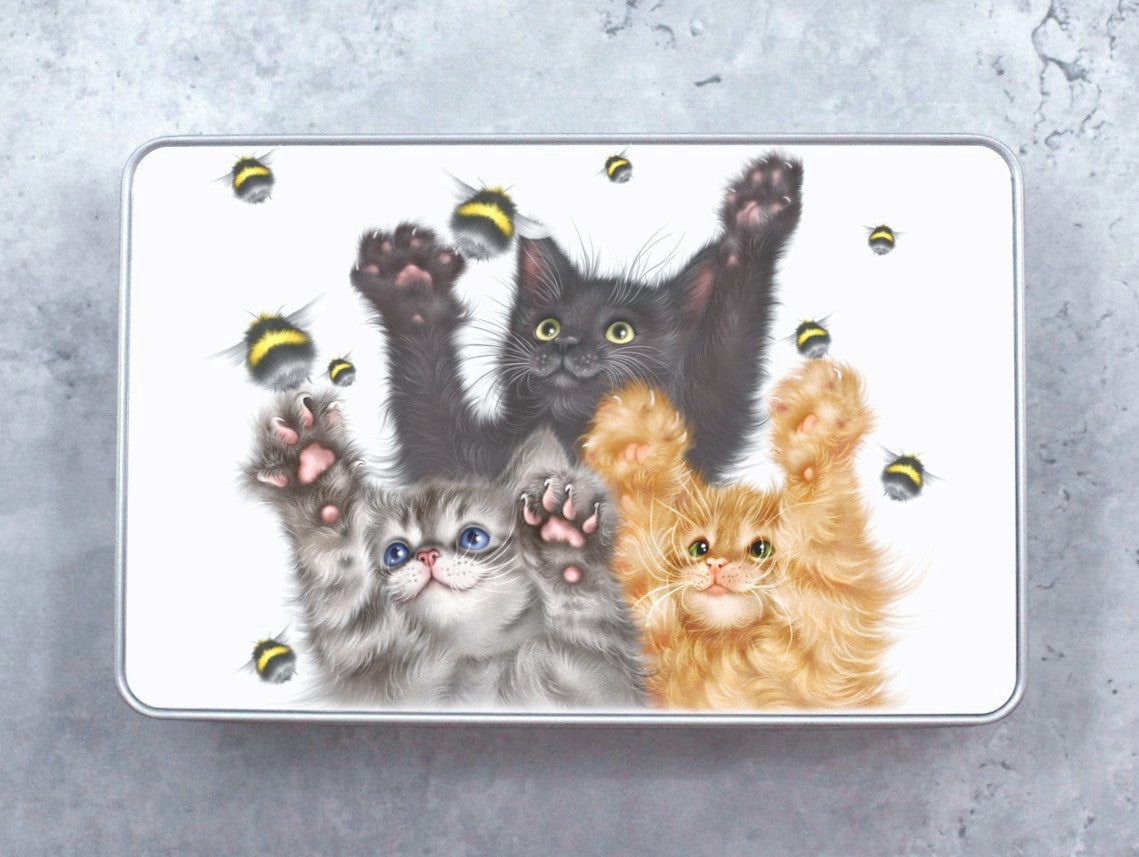 Kattungar och Fluffy - Plåtlåda (Kattraser, Kattunge)