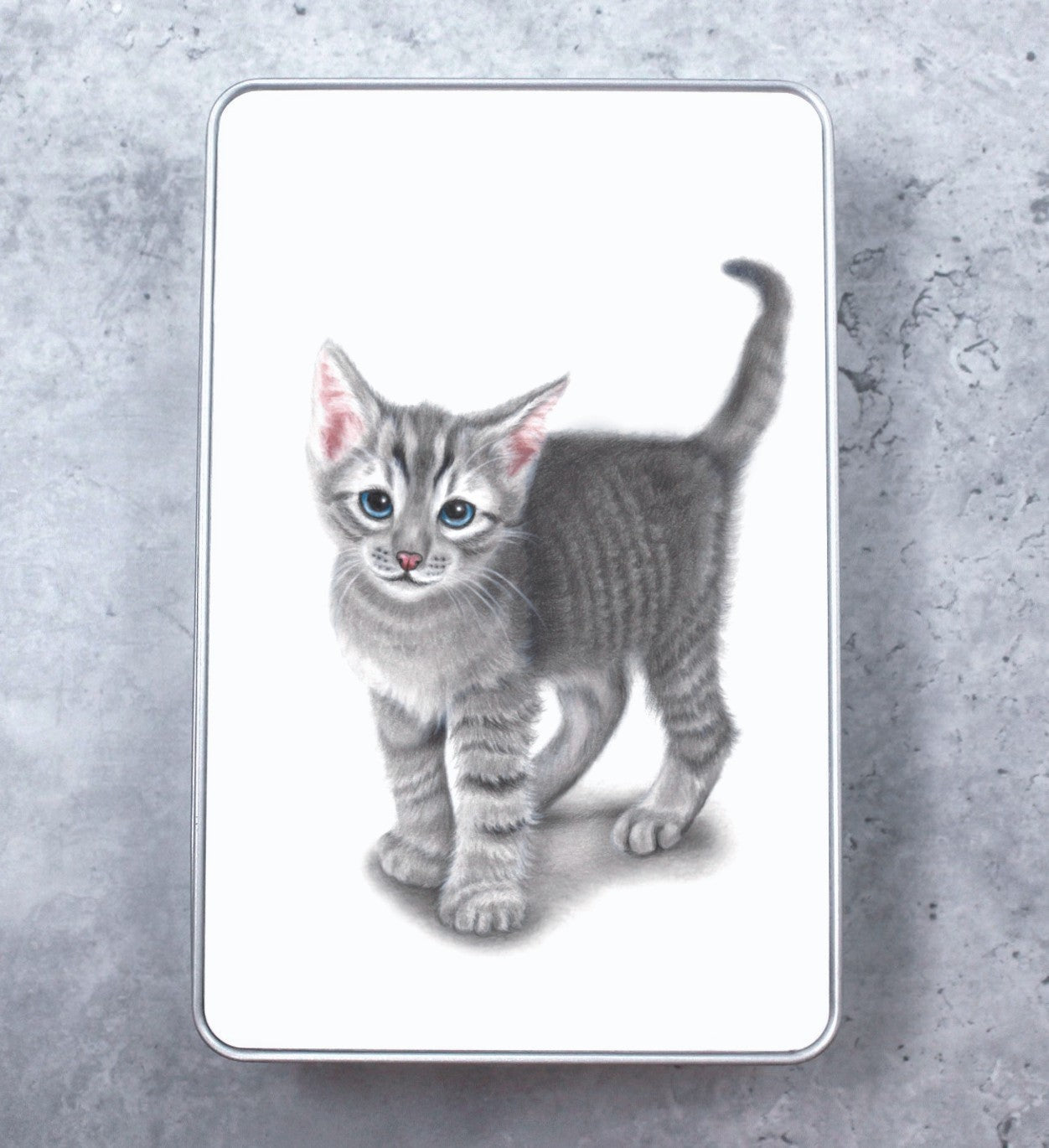 Grey Kitten Tin Box (Cat Breeds)