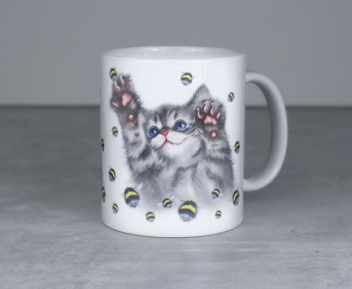 Grå kattunge och fluffig mugg (kattraser, kattmugg, kattmugg, kattunge)