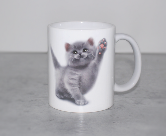 Scottish Fold kattungemugg (kattraser, kattunge, kattunge, kattmugg, kattmugg)