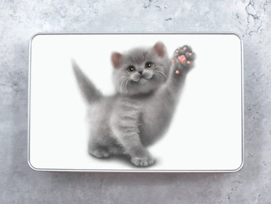 Scottish Fold kattunge - Plåtlåda (Kattraser, Kattunge, Kattunge)