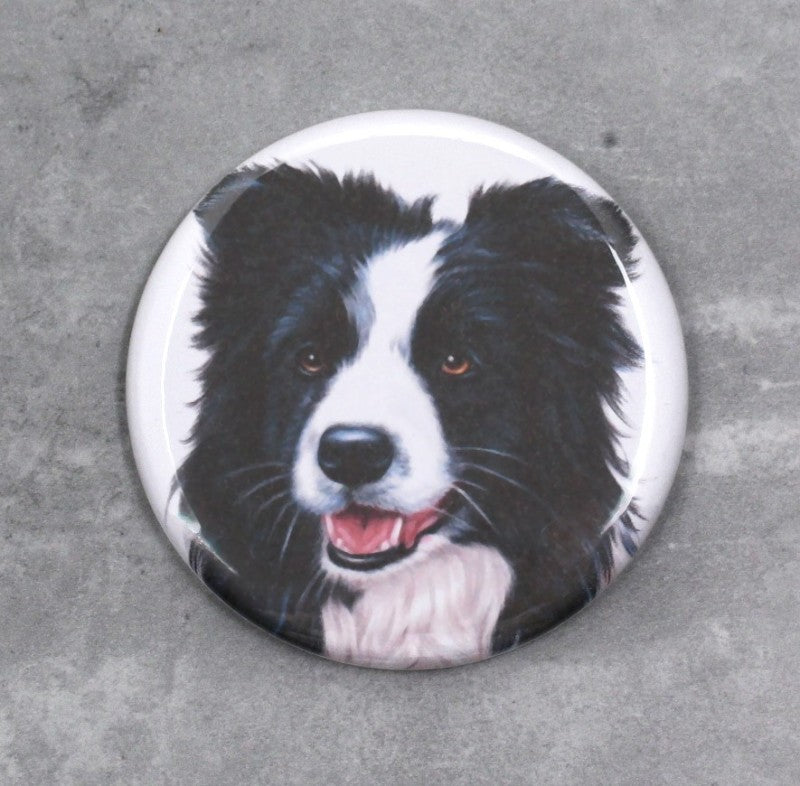 Bordercollie -Nappi (Koirarodut)