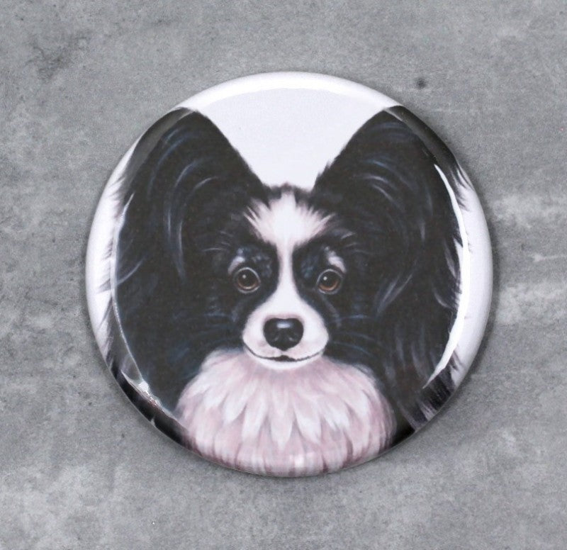 Fjärilshund Svartvit Papillonknapp (Hundraser)