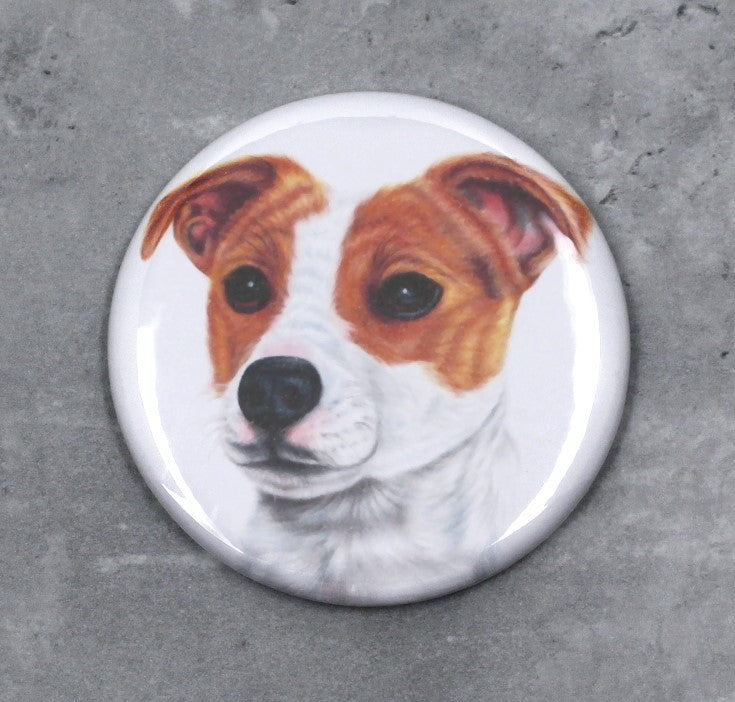 Jackrussel-knapp (hundraser)