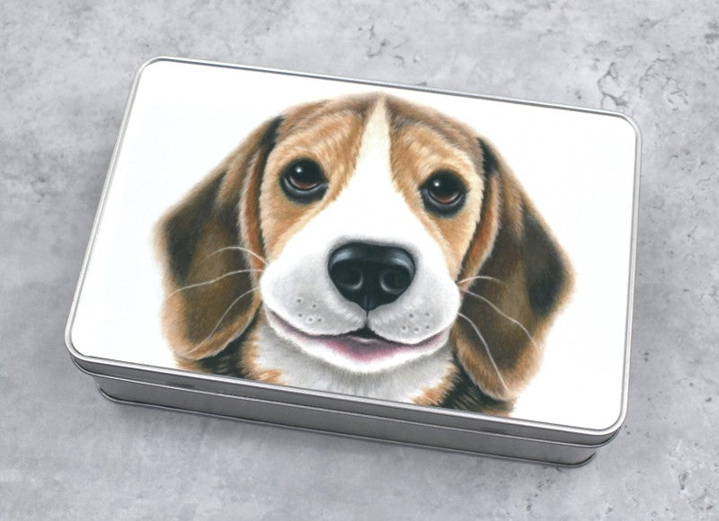Beagle-plåtlåda (hundraser)