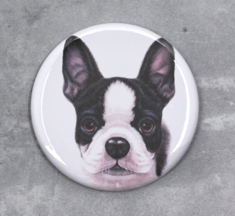 Bostonterrier - Button (hundraser)