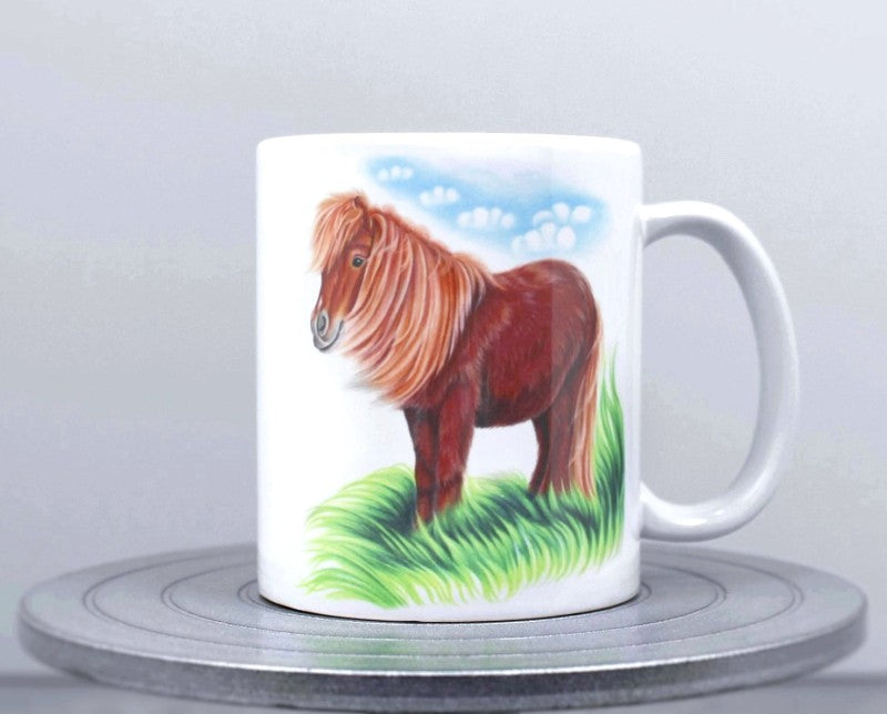 Shetlanninponi -Muki (Hevonen / Poni)