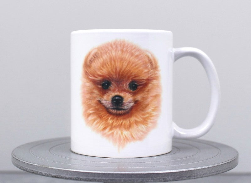 Pomeranian -Muki (Koirarodut)