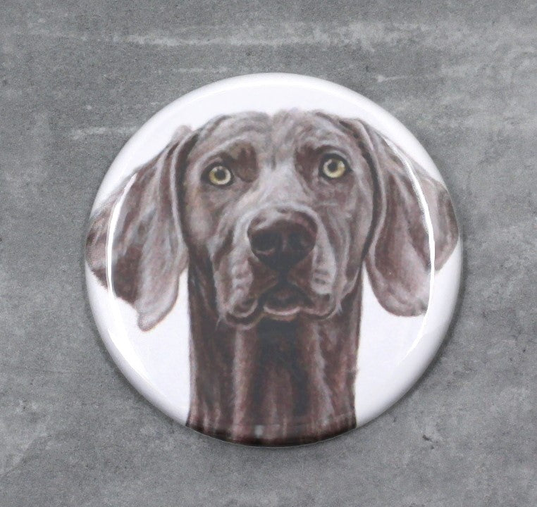 Weimaraner - Button (Hundraser)