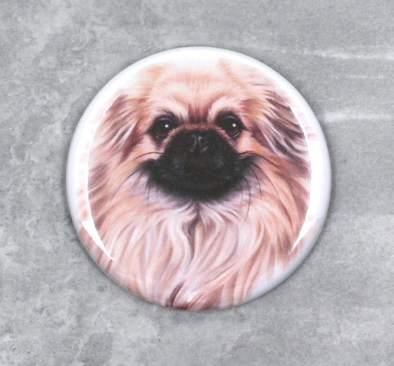 Tibetansk spaniel / Tipsu-Nappi (hundraser)