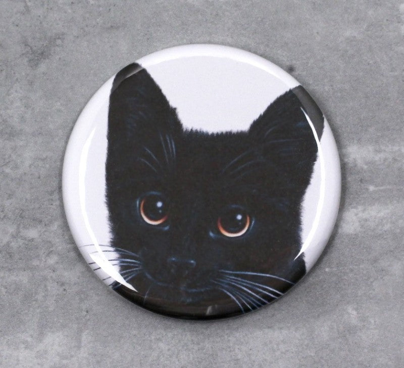 Svart kattknapp (kattraser)