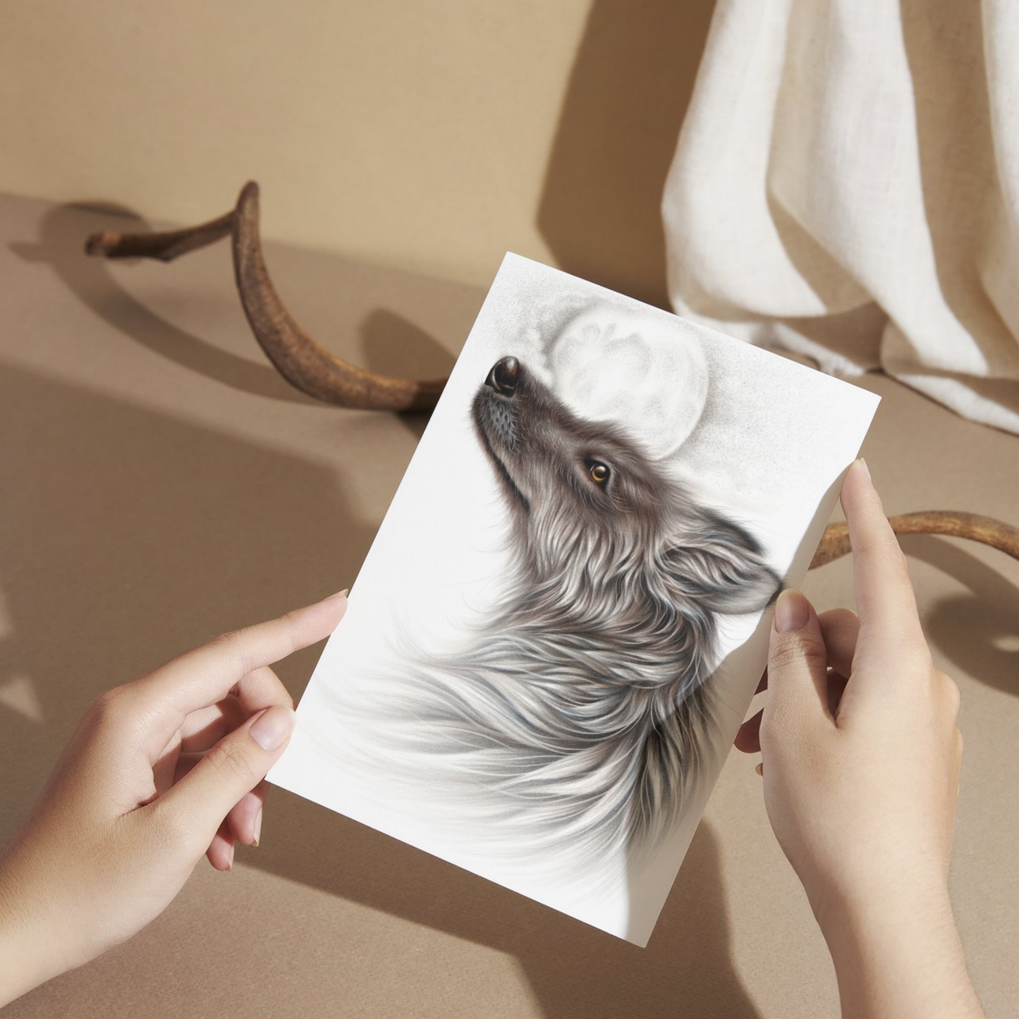 Wolf -Postcard