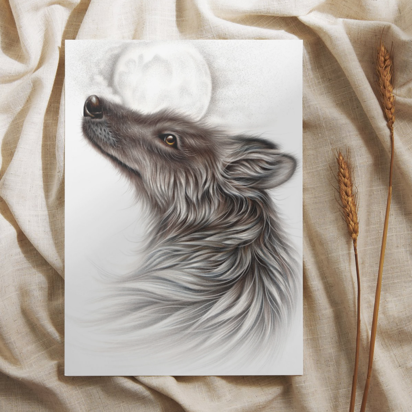 Wolf -Postcard