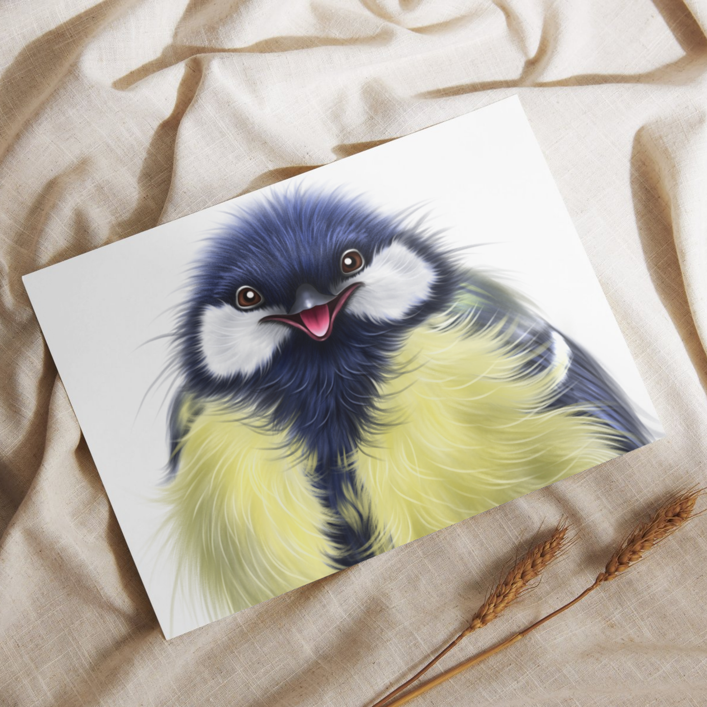 Lintu -Postikortti (Talitiainen) 2