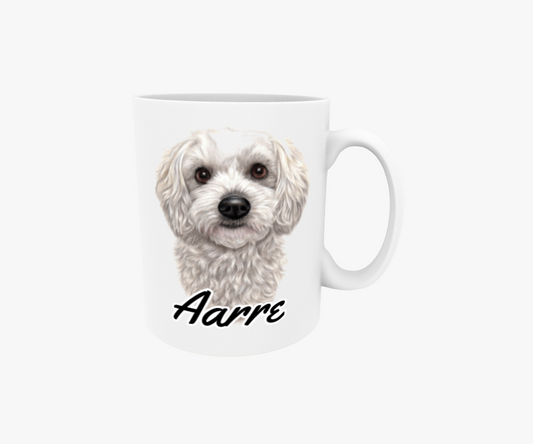 Aarre / Coton De Tulear -Nimimuki (Koirarodut)