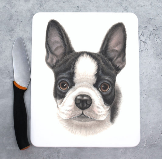 Bostonterrier - skärbräda (hundraser)