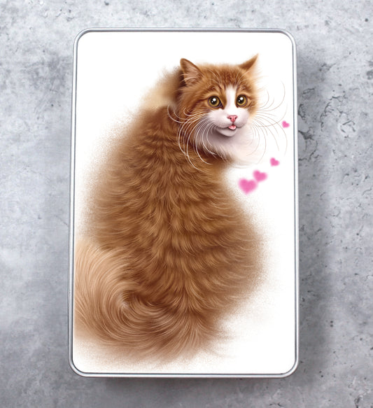Red Cat Sitting Box (Cat Breeds)