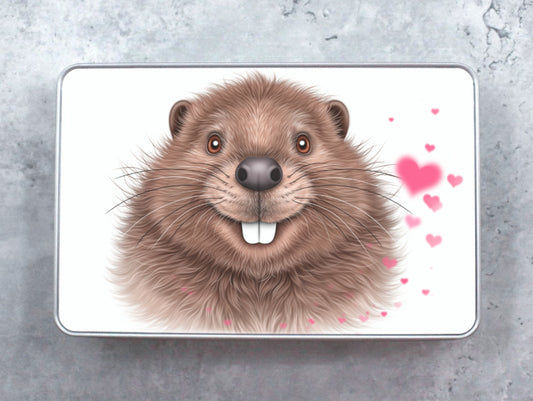 Majava ja Sydämet -Peltirasia