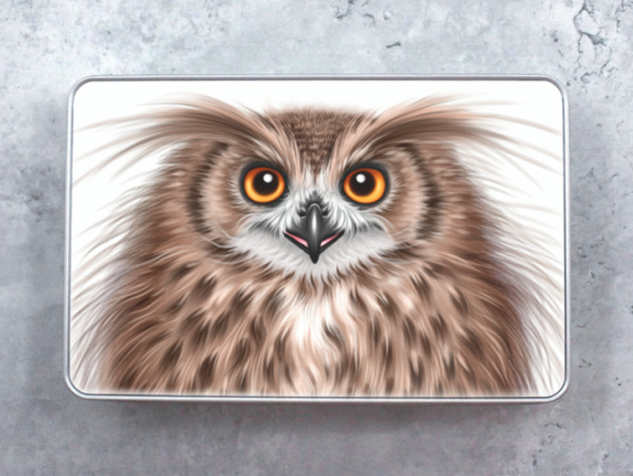 Pöllö -Peltirasia - ArtByAnnaK