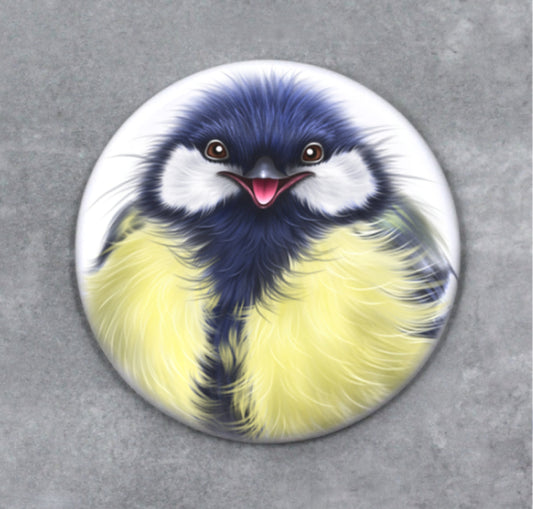 Lintu -Nappi (Talitiainen)