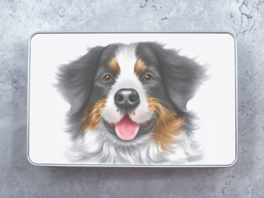 Berner sennenhund - plåtlåda (hundraser)