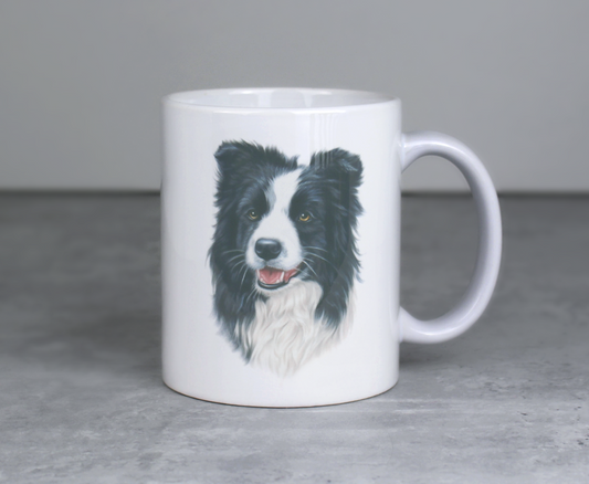Bordercollie -Muki (Koirarodut)