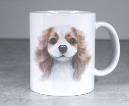 Cavalier Kingcharlesinspanieli -Muki (Koirarodut, Koira muki, Koiramuki)