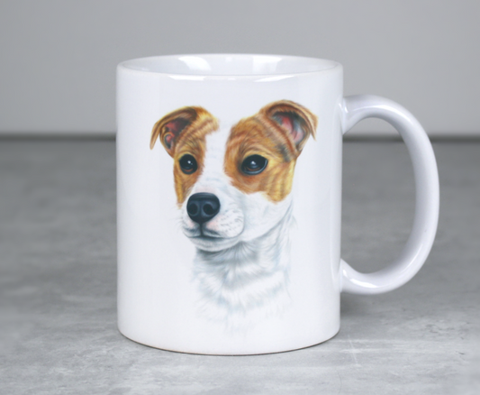 Jackrussel -Muki (Koirarodut)