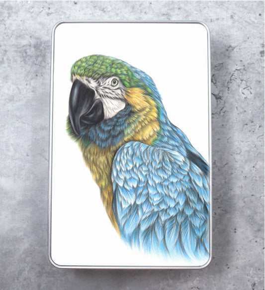 Macaw Sinikelta-Ara -Peltirasia (Papukaija)