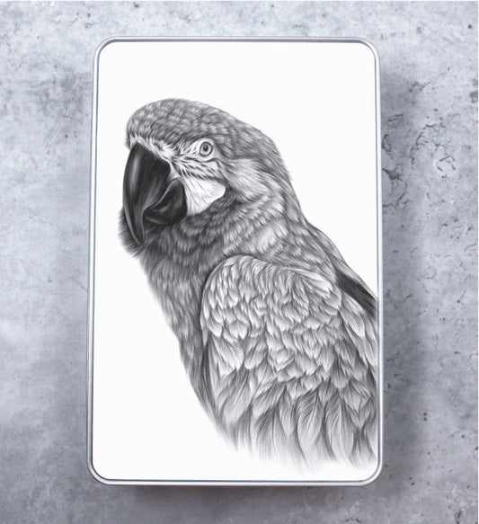 Macaw Sinikelta-Ara Mustavalkoinen -Peltirasia (Papukaija)
