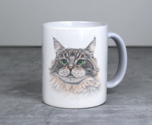 Maine Coon -Muki (Kissarodut, Kissa muki, Kisu)
