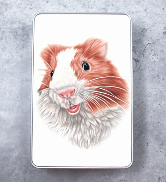 Guinea pig - Tin box