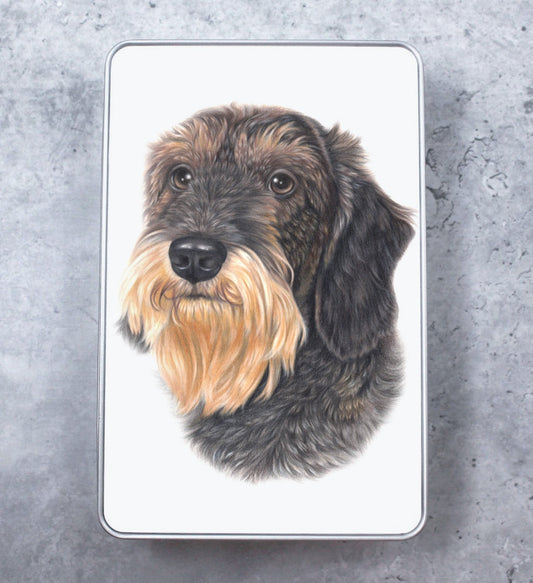 Dachshund Wirehaired - Tin Box (Dog Breeds)