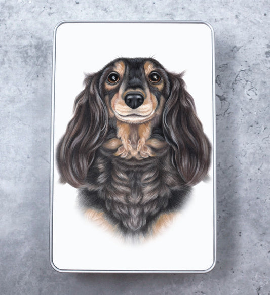 Dachshund Black Longhair - Tin Box (Dog Breed)