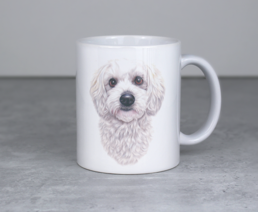 Coton De Tulear -Muki (Koirarodut)