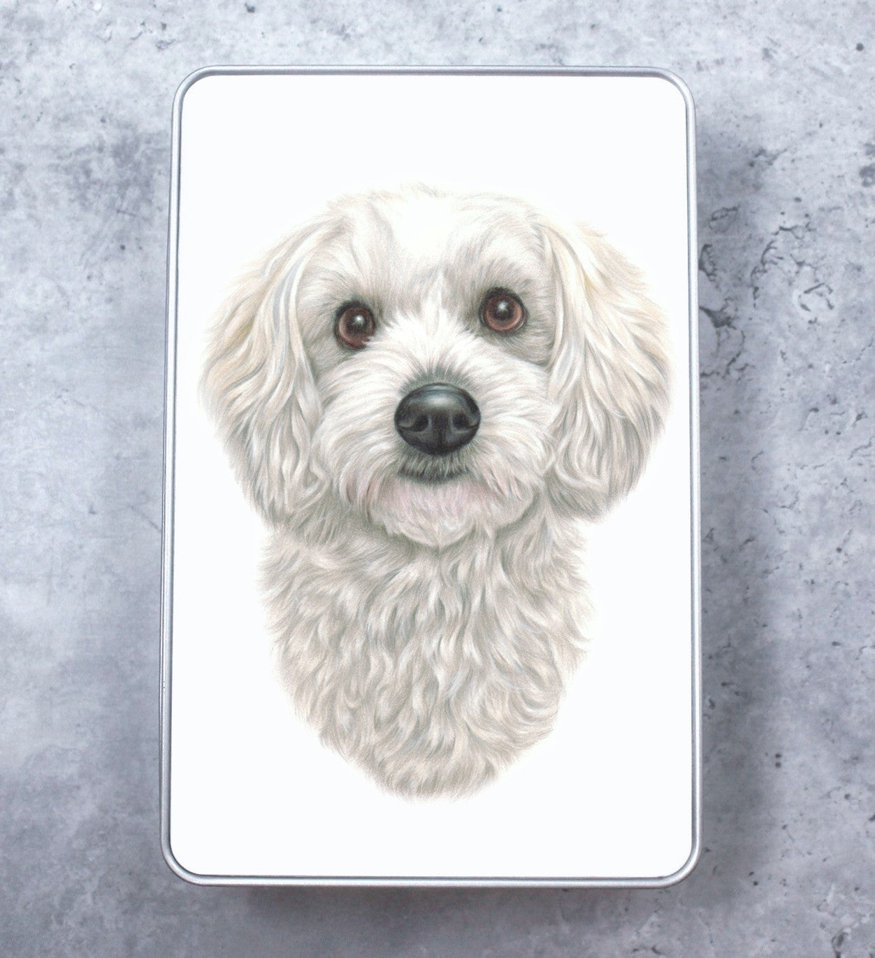 Coton De Tulear Tin Box (Dog Breeds)