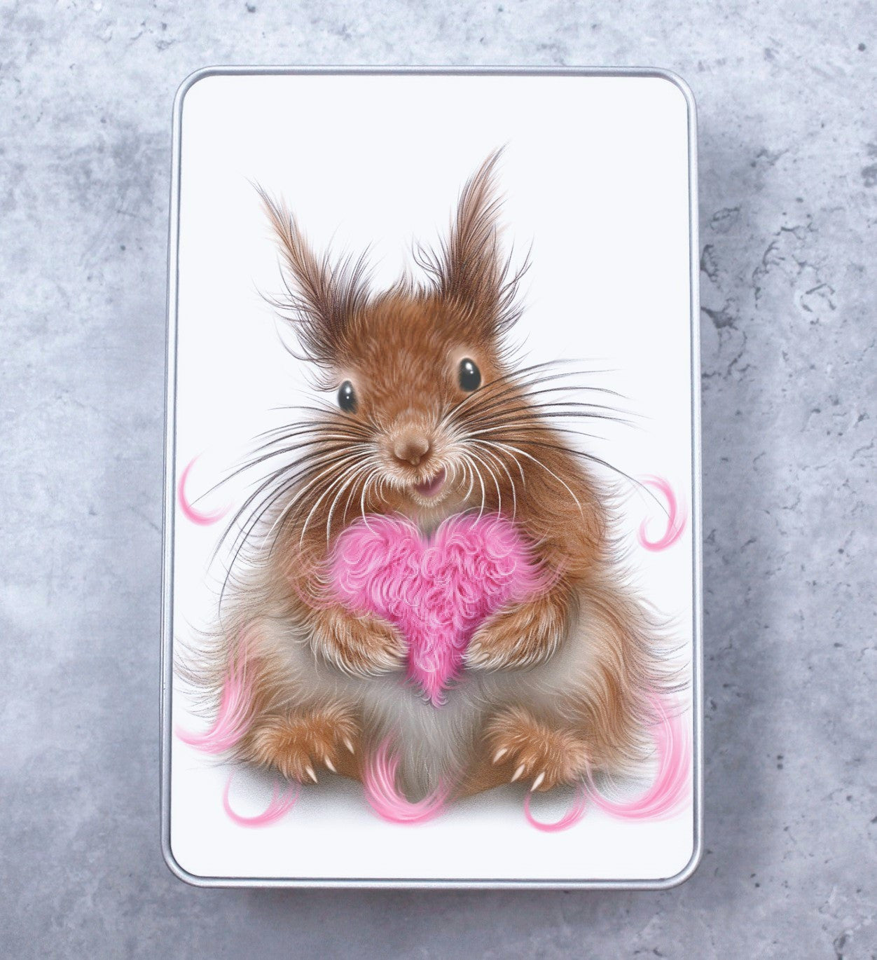 Squirrel and Heart pillow - Tin box