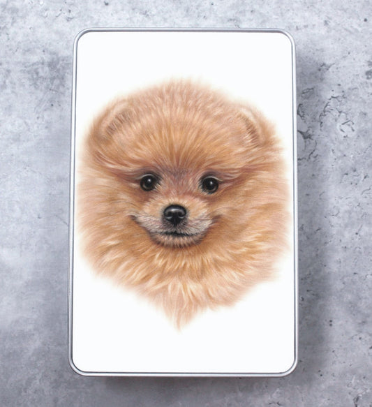 Pomeranian Tin Box (Dog Breeds)