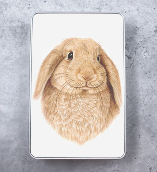 Bunny Brown Tin Box
